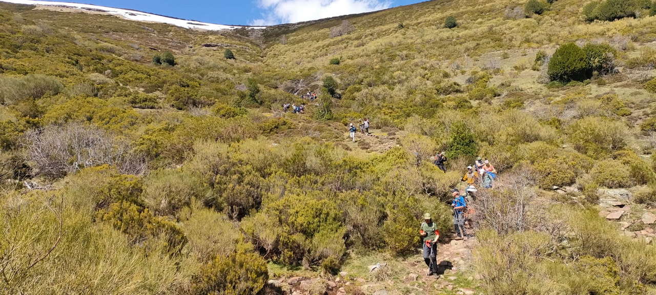 WhatsApp Image 2026-04-08 at 07.40.55 (7)